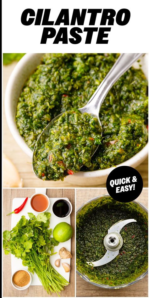 This homemade cilantro paste is a great addition to your collection of herbs and spices because it’s so flavorful and adds a burst of freshness to any dish. Cilantro Paste Recipes, How To Use Cilantro, Cilantro Salsa Recipe, Cilantro Paste, Cilantro Lime Quinoa, Cantaloupe Recipes, Hispanic Recipes, Cilantro Salsa, Cilantro Recipes