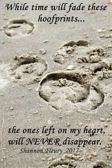 "While time will fade these hoof prints, while the ones left on my heart will never fade" Tatoo Dog, Inspirational Horse Quotes, Horse Riding Quotes, Equestrian Quotes, Hoof Print, Horse Memorial, Cowgirl Quotes, Riding Quotes, Horse Posters