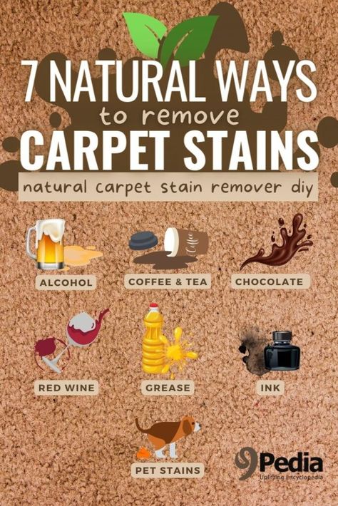 7 Natural Ways to Remove Carpet Stains #carpetcleaning #carpetstains #stainremover #naturalstainremover #carpetwashing Remove Carpet Stains, Diy Carpet Stain Remover, Remove Carpet, Natural Stain Remover, Stain Remover Carpet, Alternative Living, Natural Carpet, Remove Stains, Pet Stains