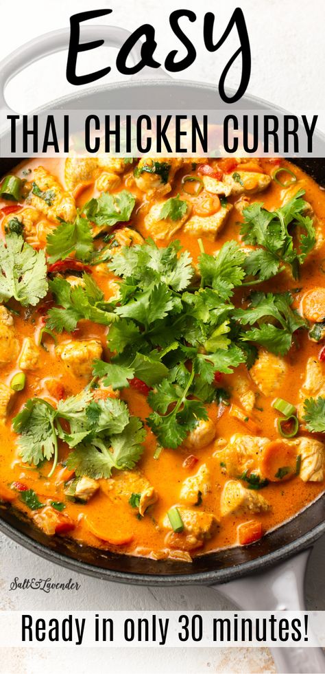 Thai Chicken Curry With Coconut Milk, Easy Thai Chicken, Coconut Curry Chicken Recipes, Red Curry Recipe, Thai Curry Recipes, Thai Chicken Curry, Red Curry Sauce, Curry Recipes Easy, Chicken Curry Recipe