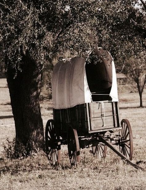 Wagon Aesthetic, Farm Wagons, Old Western, Horse Drawn Wagon, Old Wagons, Wooden Wagon, Covered Wagon, Country Scenes, Horse Drawn