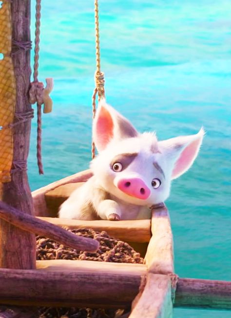 Pua Moana Pig Pua, Disney Pig, Disney Sidekicks, Moana Disney, Disney Princess Moana, Disney Cuties, Cute Piglets, Disney Collage, Animated Animals