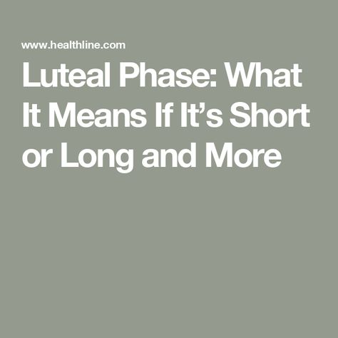 Luteal Phase: What It Means If It’s Short or Long and More Luteal Phase, Fallopian Tubes, The Egg, The Body, Egg