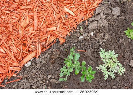 Mulch Stock Photos, Mulch Stock Photography, Mulch Stock Images : Shutterstock.com Patio Layout Design, Permaculture Design Course, Lasagna Gardening, Patio Layout, Organic Mulch, Permaculture Design, Small Backyard Gardens, Organic Soil, Backyard Garden Design