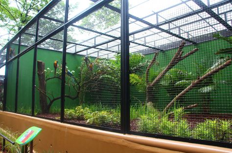 Parrot Habitat, Zoo Inspiration, Birds Cage, Bird Aviary, Parakeets, Animal Habitats, Living Room Decor Apartment, Pet Home, Bird Cage