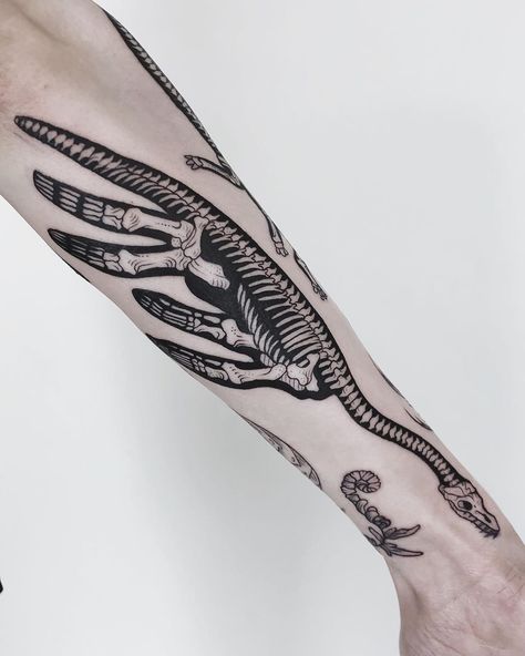 Pony Reinhardt Tattoo on Instagram: “Skeletal plesiosaur on a prehistoric sleeve - thanks Rhiannon! 🦕🐋” Mosasaurus Skeleton Tattoo, Plesiosaurs Tattoo, Gothic Dinosaur Tattoo, Archeologist Tattoo, Skeletal Animal Tattoos, Sauropod Tattoo, Dinosaur Bones Tattoo, Plesiosaurus Tattoo, Mosasaurus Tattoo