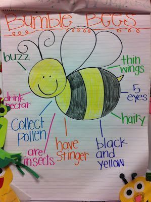 Bee Anchor Chart # science List Poem, Insects Kindergarten, Bee Project, Teaching Theme, Spring Nursery, Bug Activities, Insect Unit, Insects Preschool, Spring Lessons