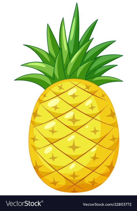 Pineapple Animation, Pineapple Cartoon, Pineapple Pictures, Cartoon Pineapple, Pineapple Clipart, Big Pineapple, Pineapple Illustration, Pineapple Vector