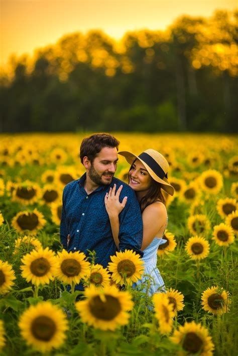 Sunflower Photoshoot Ideas, Pictures With Sunflowers, Photoshoot Field, Photoshoot Ideas Outdoor, Sunflower Field Photography, Sunflower Field Pictures, Sunflower Photoshoot, Field Pictures, Shooting Couple