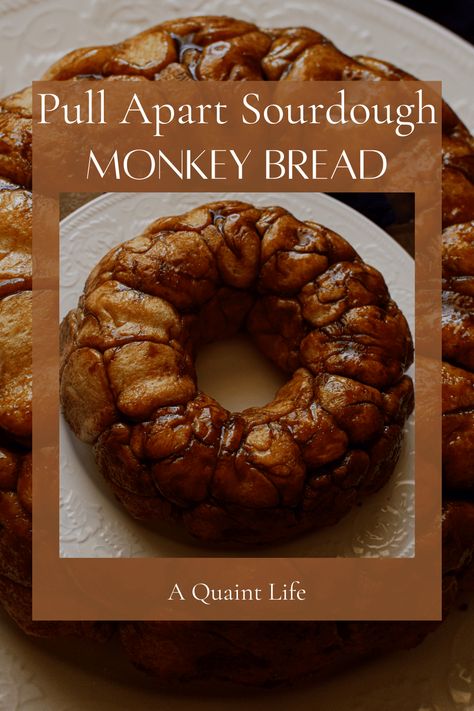 Best Pull-Apart Sourdough Monkey Bread Recipe - A Quaint Life Sourdough Monkey Bread, Easy Lasagna Soup, Natural Eating, Monkey Bread Recipe, Sourdough Bread Starter, Sourdough Starter Discard Recipe, Fun Dessert, Bread Starter, Bundt Cake Pan