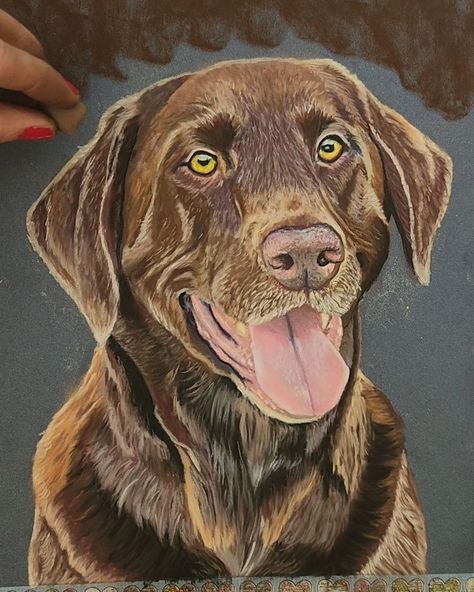 Pet portraits are always such a joy to make, and Coco here was a beautiful chocolate lab that was so fun to paint! #petportrait #chocolatelab #brownlabrador #labrador #labdog #petportraitprocess #artprocess Chocolate Lab Painting, Lab Painting, Lab Art, Brown Labrador, Labs Art, Beautiful Chocolate, Lab Dogs, Chocolate Lab, Art Instructions