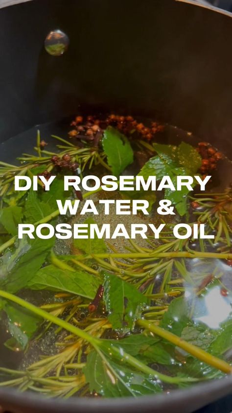 DIY Rosemary Oil for Hair Growth, DIY Rosemary Water for Hair Growth Diy Rosemary Oil, Rosemary Water For Hair Growth, Eyelash Growth Cycle, Rosemary Water For Hair, Rosemary Oil For Hair Growth, Rosemary Water, Rosemary Oil For Hair, Oil For Hair Growth, Lash Growth