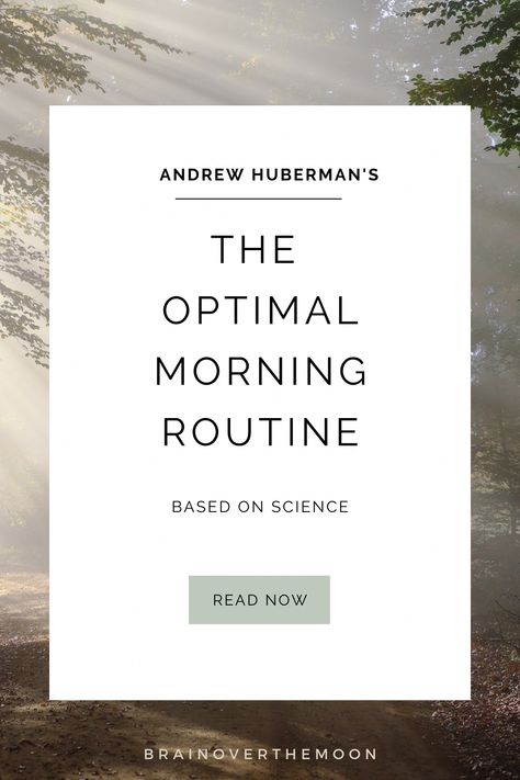 Dr. Huberman's optimal morning routine shows us that when you follow science, becoming the best version of yourself is not as challenging as you might think! Morning Wellness Routine, Bullet Journal Topics, Morning Workout Motivation, Morning Routine Chart, Andrew Huberman, Morning Yoga Routine, Morning Activities, Routine Chart, Productive Morning