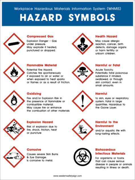 Have a future scientist on your hands? Well, safety ALWAYS comes first! Try naming these. Hazard Symbols, Construction Signs Printable, Lab Safety Poster, Safety Symbols, Science Lab Safety, Lab Safety Rules, Safety Signs And Symbols, Teaching Safety, Future Scientist