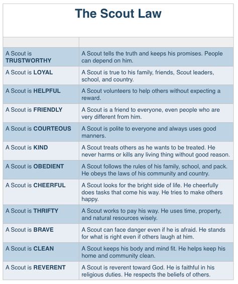 Scout Skills Activities, Scout Law Keychain, Cub Scout Law, Boy Scout Law, Scout Law, Cub Scouts Bear, Tiger Scouts, Cub Scouts Tiger, Cub Scout Activities