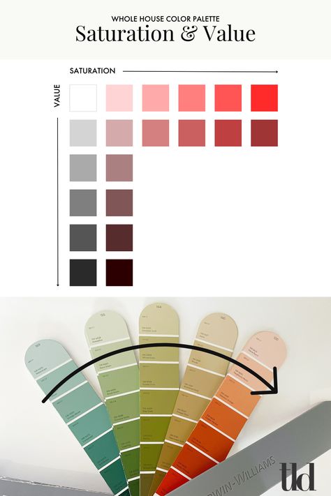 Whole House Color Palette, House Color Palette, Crayola Box, Bar None, Individual Space, House Color Palettes, House Color, The Number 1, Colour Schemes