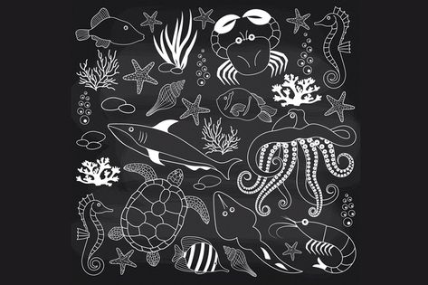 Chalkboard Sea Life sea sea life underwater chalkboard chalk vector illustration graphic shark crab fish octopus shrimp starfish sea horse water ocean sea turtle seaweed coral Sea Turtle Images, Chalkboard Clipart, Shark Images, Chalkboard Doodles, Sea Shark, Turtle Images, St Maria, Chalk Wall, Chalkboard Drawings