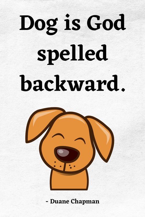 Dog Is God Spelled Backward Guardian Angels, Flower Doodles, Winnie The Pooh, Follow Us, Dogs, Animals