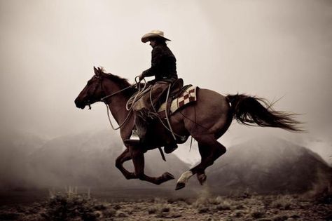 galloping horse and rider man cowboy Cow Boys, Real Cowboys, Wilde Westen, Into The West, Rosetta Stone, Cowgirl And Horse, Cowboy Horse, Western Life, Western Riding