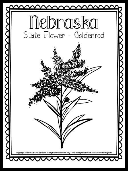 Nebraska State Flower (Goldenrod!) Coloring Page {Free Printable!} - The Art Kit Nebraska State Flower, Nebraska Tattoo Ideas, Nebraska Tattoo, Kentucky State Flower, State Project, State Flowers, Social Studies Unit, Coloring Page Free Printable, Nebraska State