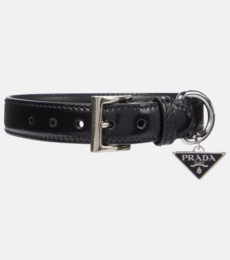 Prada - Brushed leather dog collar | Mytheresa Black Dog Collar, Morning Walks, Leather Dog Collar, Luxury Pet, Black Dog, Together We Can, Collar And Leash, Pet Collars, New Season