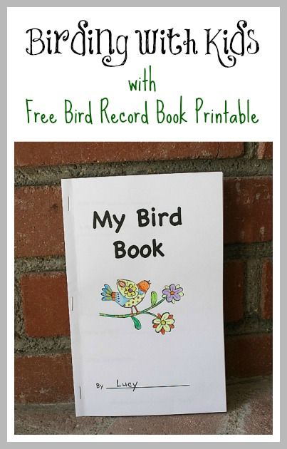 Free Printable~ Bird Book for Kids (Great resource for recording all those birds you see while birdwatching!) Theme Nature, Bird Book, Bird Crafts, Outdoor Classroom, Forest School, Outdoor Learning, Homeschool Science, Nature Study, Book For Kids