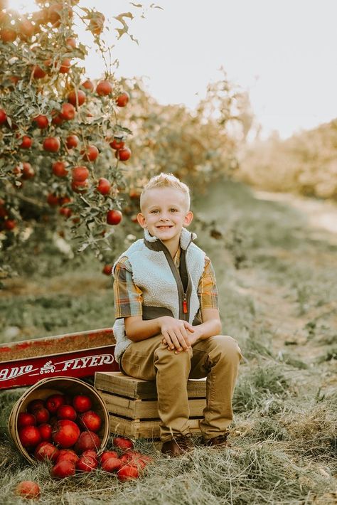 Apple Tree Family Photos, Apple Orchard First Birthday Pictures, Family Pictures Apple Orchard, Apple Mini Session Ideas, Apple Stand Photoshoot, Family Photoshoot Apple Orchard, Family Apple Picking Photos, Apple Orchard Mini Session, Fall Photoshoot Mini Sessions