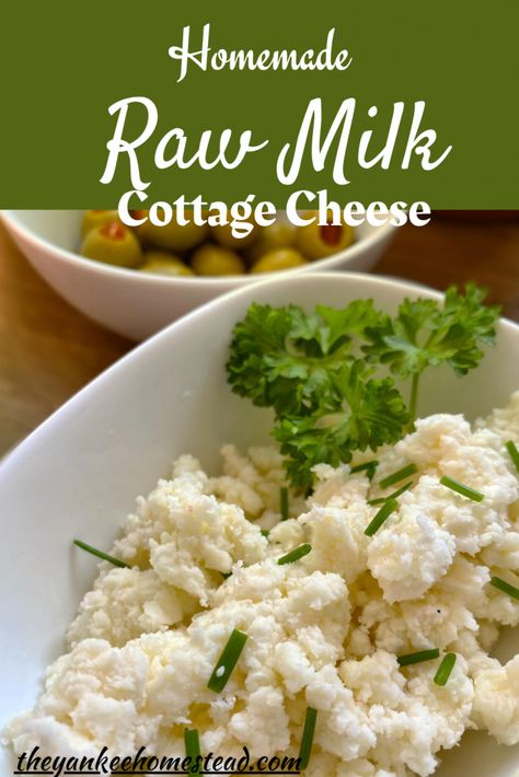 Milk Ideas, Milk Goats, Raw Dairy, Lacto Fermentation, Homemade Cottage Cheese, Cheese Recipes Homemade, Diy Butter, Goat Milk Recipes, Diy Cheese