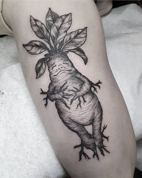 Mandrake Tattoo, Drake Tattoos, Baby Angel Tattoo, Baby Name Tattoos, Amsterdam Tattoo, Woodcut Tattoo, Engraving Tattoo, Tarot Tattoo, Parent Tattoos