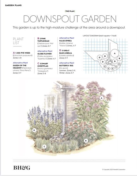 Flower Garden Plans, Front Garden Landscape, Corner Garden, Front Landscaping, Garden Design Plans, Side Garden, Backyard Inspiration, Pollinator Garden, Home Landscaping