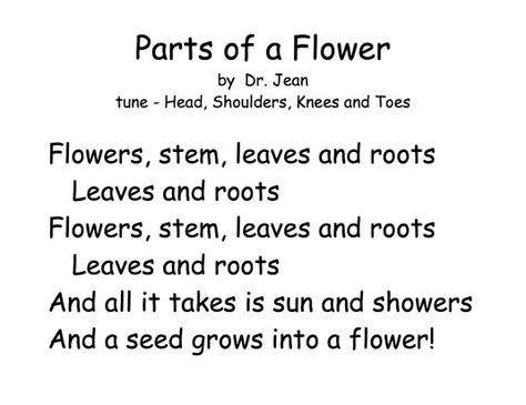 Dr Jean Plant Song, Preschool Circle Time Activities, Preschool Music Activities, Movement Songs, Spring Kindergarten, Plants Unit, Circle Time Activities, Preschool Science Activities, Spring School