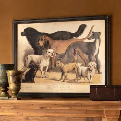 FARMHOUSE POOCHES | Shop Sales Events Antique Farmhouse Park Hill Collection, Victorian Illustration, Dog Frames, Park Hill, Large Framed Prints, Oil Canvas, Vintage Dog, Antique Farmhouse, Elements Of Art