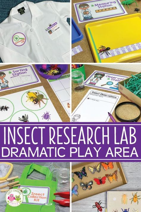 Find ideas to create an entomology lab dramatic play area set up. Your kids will love playing and learning in an insect research lab dramatic play center. Perfect for your insects and bugs theme, spring theme, summer theme, or outdoor themes in your preschool or pre-k classroom. Ideas for fun, hands-on learning activities and printables are included...perfect for early childhood play-based learning. Insectarium Math, science, literacy, STEM, and STEAM in one play center. #dramaticplay #preschool Bug Lab Dramatic Play, Bugs Dramatic Play Preschool, Pre K Dramatic Play Ideas, Bug Dramatic Play Preschool, Bug Dramatic Play, Insect Dramatic Play Preschool, Spring Dramatic Play Preschool, Insect Dramatic Play, Kindergarten Play Centers