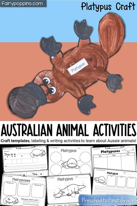 Wombat Craft Preschool, Australian Animals Activities, Wombat Craft, Platypus Craft, Animal Writing Activities, Lizard Craft, Koala Craft, Animal Writing, Animals Activities