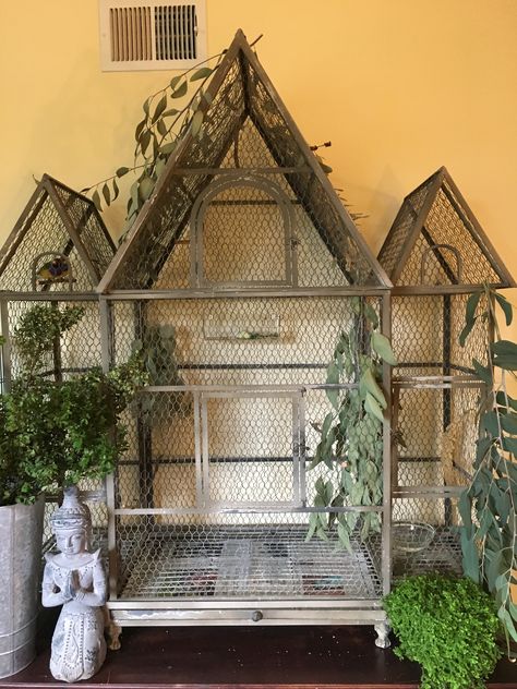 Bird Habitat Indoor, Indoor Pigeon Cage Ideas, Canary Cage Ideas, Pigeon Enclosure, Victorian Aviary, Pigeon Cage Ideas, Butterfly Aviary, Outdoor Bird Cage, Bird Enclosure