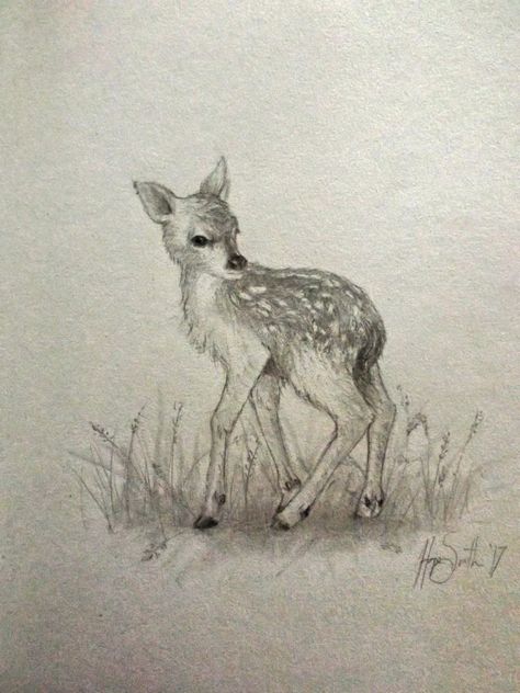 Baby deer sketch, pencil and charcoal. Woodland Animal Sketches, Deer Pencil Sketch, Forest Animal Sketches, Doe Drawings, Deer With Fangs, Doe Sketch, Deer Drawing Cute, Baby Deer Drawing, Deer Pencil Drawing