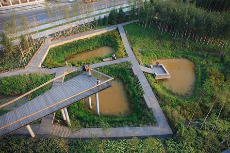 Qunli National Urban Wetland by Turenscape « Landscape Architecture Works | Landezine Taman Air, Wetland Park, Desain Lanskap, Park Landscape, Landscape And Urbanism, Urban Park, Parking Design, Landscape Projects, Contemporary Landscape