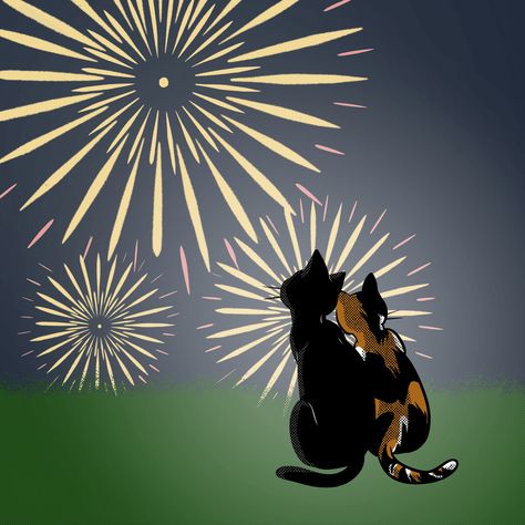 Two cats are watching fireworks together. Watching Fireworks, Two Cats, Cartoon Styles, Fireworks, Black Cat, Digital Art, Animals, Art