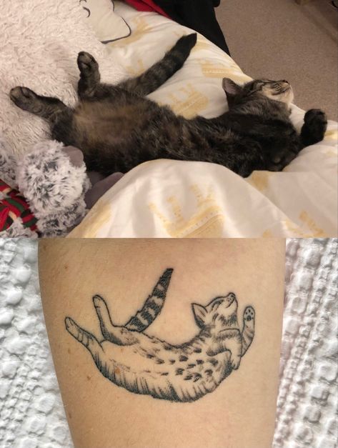 A side by side image of a concept photo and finished black line tattoo on my forearm of my cat Bailey. Cat Belly Tattoo, Crazy Cat Tattoo, Cat Stomach Tattoo, Cat Tattoo Arm, Patchwork Tattoos, Tummy Tattoo, Belly Tattoo, Cat Stretching, Underboob Tattoo