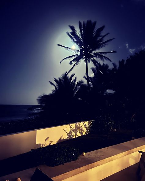 This photograph of a coconut palm backlit by the full moon in Vieques, Puerto Rico can be a small getaway in itself, or a reminder to schedule a much needed vacation. The print on photo paper is not matted or framed so you can make your decisions based on your decor. Coconut Asthetic Picture, Island Asthetic Picture, Vieques Puerto Rico, 2013 Swag Era, Beach Pic, Night Walk, Beach Night, Sky Pictures, Night Scenery