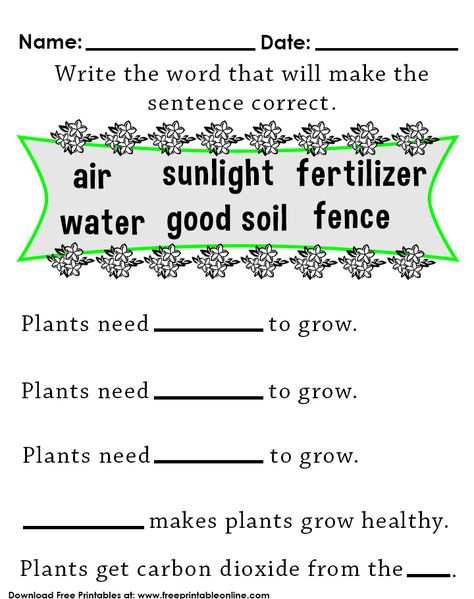 What Plants Need To Grow, How Plants Grow, Plants Worksheets, Kids Worksheet, Fence Plants, Kids Worksheets, English Writing Skills, Free Printable Worksheets, English Writing