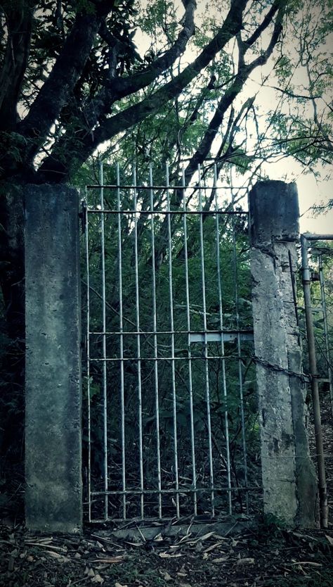 A metal gate is held in place by 2 outworn cement pillars, at the center of the photo. Through its hollows, a forest path can be seen spreading forth, dark trees with muted green leaves growing towards a white sky that promises thunder. A peek of the ground on the bottom, before the fence, shows an exposed dirt ground forgotten by all but the dead leaves. The entire ambiance exudes an eerily inviting atmosphere, the lifeless leaves on the ground leading beyond a gate that hides blooming trails. Forest Gate, Horror Book, Gate, Cute Pictures, Fairy Tales, Forest, Photography