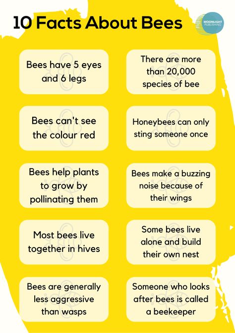 10 Fascinating Bee Facts for Kids | Free PDF - Moonlight Publishing All About Bees For Kids, Bee Facts For Preschoolers, Bee Learning Activities For Kids, Bee Learning Activities, Bee Games For Kids, Bee Inquiry, Bee Activities For Kids, Bee Facts For Kids, Bee Education