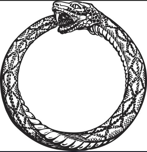 Ouroboros Meaning, Snake Biting, Tattoo Care Instructions, Snake Eating, Tats Ideas, Ouroboros Snake, Full Tattoo, Realistic Temporary Tattoos, Custom Temporary Tattoos