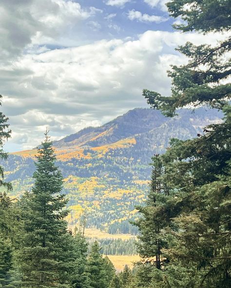 colorado wallpaper insp inspiration aesthetic mountains tress fall autumn Mountains Aesthetic Colorado, Colorado Mountains Aesthetic, Colorado Life Aesthetic, Colorado Wallpaper, Colorado Aesthetic, Aesthetic Mountains, 2025 Board, Mountains Aesthetic, Colorado Fall