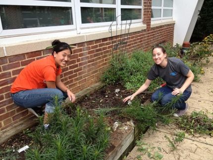 5 Steps to a Greener School | Edutopia Sustainable Classroom, Environmental Club, Critical Literacy, Eco School, Green Classroom, Teaching Stem, Eco Garden, High School Survival, Ninth Grade