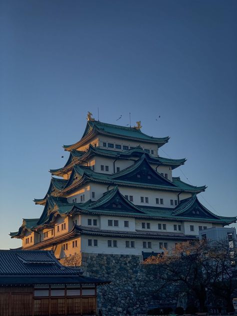 Nagoya Japan Aesthetic, Samurai Castle, Japan Castle, Nagoya Castle, Japan October, Japanese Castles, English Homework, Nijo Castle, Asian House