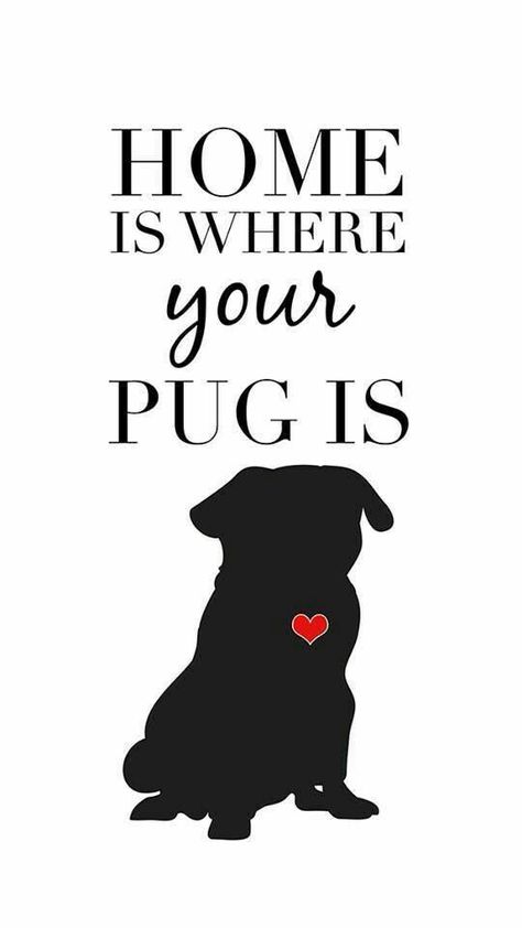 Pug Quotes, Pug Wallpaper, Black Pug Puppies, Best T Shirts, Pugs And Kisses, Pug Art, Freebie Friday, Pug Mom, Black Pug