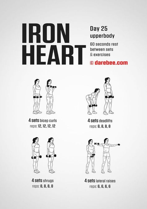 Darbee Workout, Heart Exercise, Mini Workouts, Daily Workouts, Kickboxing Workout, Printable Workouts, Iron Heart, Abs Workout Routines, Body Workout Plan