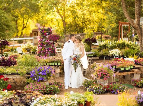 Flagstaff Az, Garden Venue, Flagstaff, Forest View, Outside Patio, Inside Outside, Inexpensive Wedding Venues, Bridal Suite, Arizona Wedding